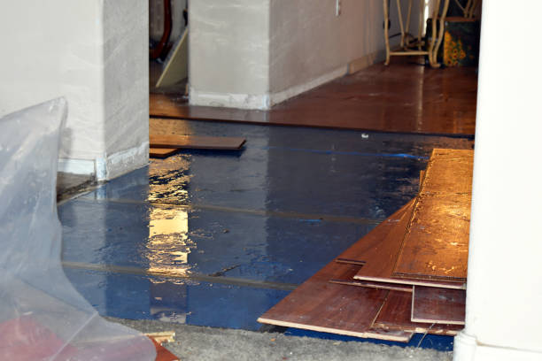 Professional Sewage Cleanup technician working in Abbot, ME
